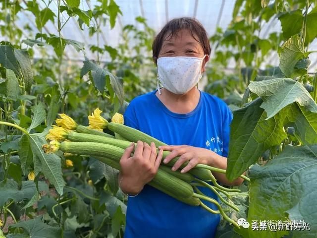 预计8月22日山东潍坊二次疫情爆发/潍坊疫情2021