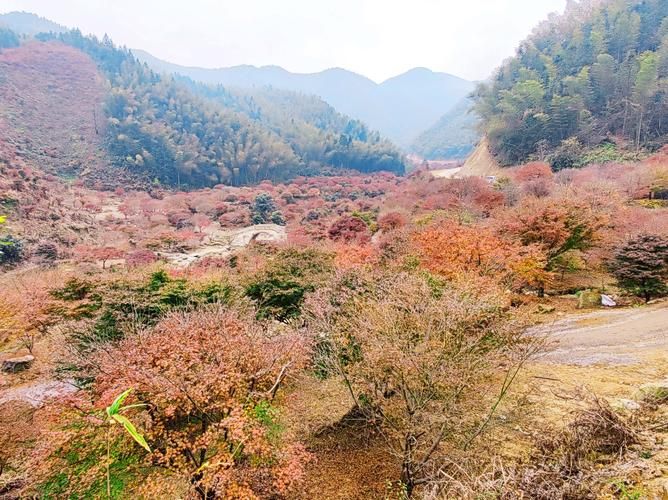 【专家:湖南永州蓝山县每年或现多个感染高峰_永州蓝山县是哪里】