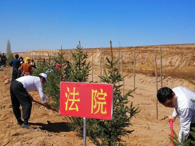 宁夏回族自治区中卫市海原县首例阳性感染者来源公布/中卫市海原县重大刑事案件