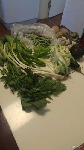 简阳现有死亡病例28例_简阳确诊几例