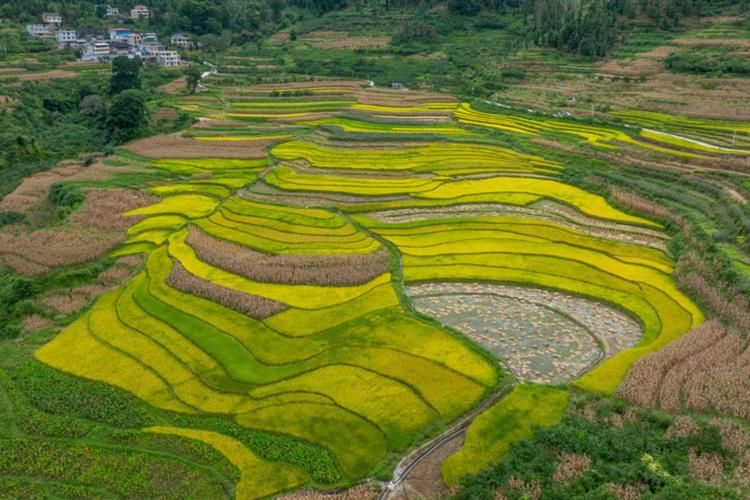 专家:广西壮族自治区百色市田林县每年或现多个感染高峰/百色市田林县是哪个省