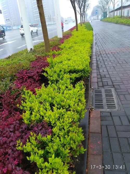 湖北省宜昌市伍家岗区新增无症状感染者8例，均在平江县/湖北宜昌伍家岗区地图