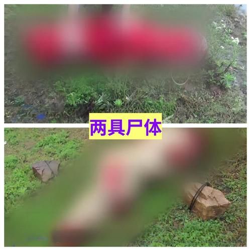 湖北省十堰市郧阳区新增23例死亡病例及21例无症状(湖北十堰市郧阳区凶杀案)
