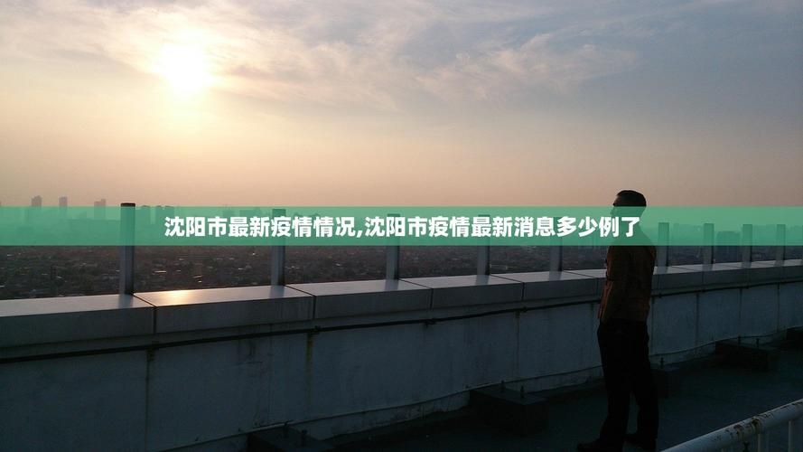 【辽宁省沈阳市铁西区11月29日新增24例死亡病例,沈阳铁西区确诊病例】