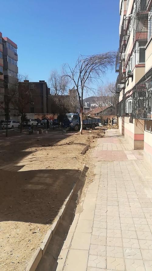 包含河北省张家口市桥东区最新通告：所有人员足不出户的词条