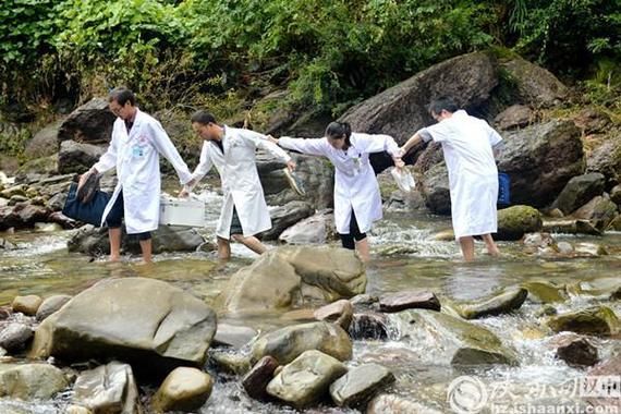 镇巴县通报12例本土确诊详情(镇巴疫情最新消息实时更新)