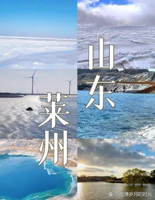 莱州4月21日境外输入曲线图表/莱州进口