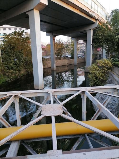 关于山东省济南市天桥区什么时候可以足不出户的信息