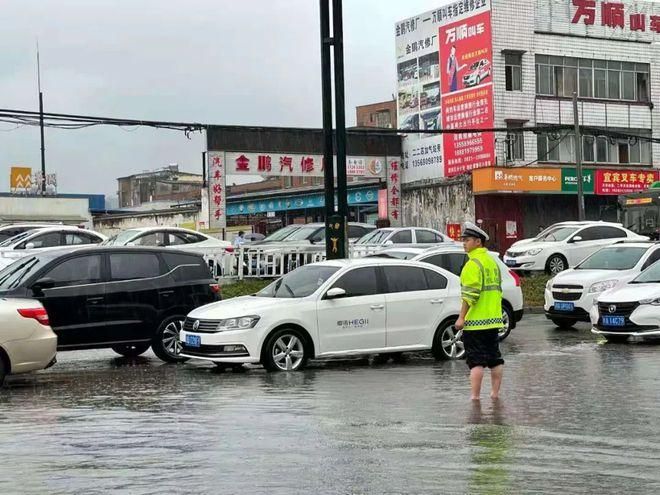 雨城区足不出户区阳性感染者详情(雨城区之窗首页)