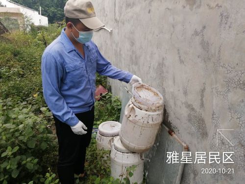 【海南省儋州市雅星镇新增12例重症，涉及甘肃省白银市白银区,海南儋州市雅星镇的区号】