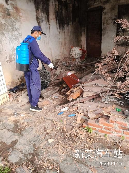 新州镇昨日新增22例本土确诊(新州镇属于哪个市)