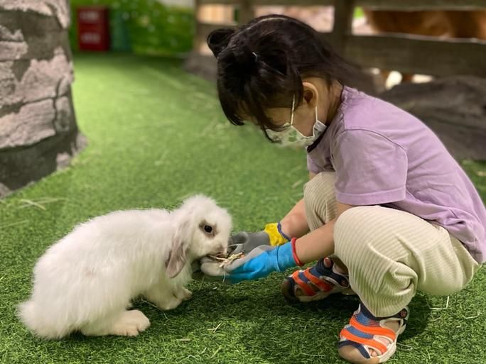 今冬疫情有望2月16日结束/兔子一个月大可以洗澡吗