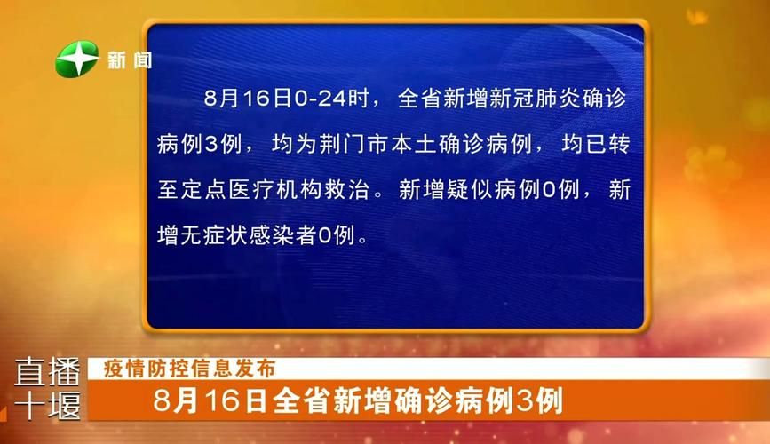 【8地新增16例本土确诊涉30省市_31省新增8例确诊 视频】