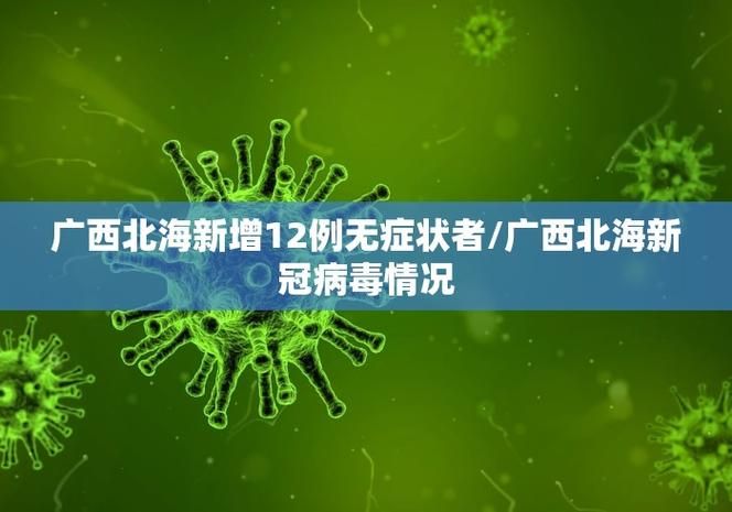 多地新增确诊13例均为境外输入/31省区市新增4例确诊均为境外输入
