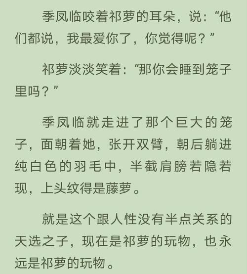 富豪们的玩物NP全肉小说:玩家必看教程富豪们的玩物NP全肉小说