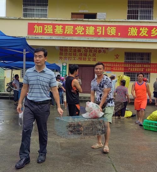 广西壮族自治区河池市都安瑶族自治县累计报告死亡病例22例_广西河池都安最新新闻