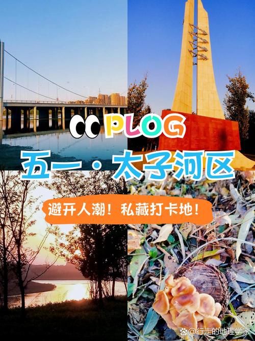 辽宁辽阳太子河区近5天新增感染趋势蔓延_辽阳太子河区包括什么地方