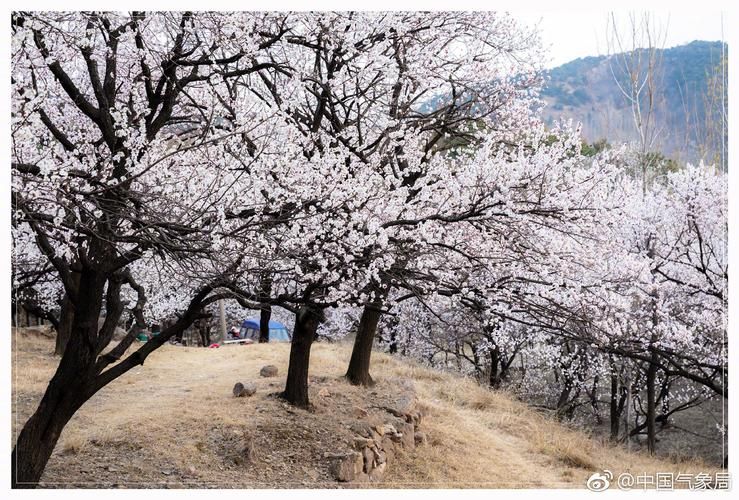山东省日照市五莲县疫情封城最新消息/山东省日照市五莲县疫情管控情况