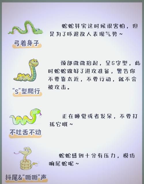 骑蛇难下:实测科普：骑蛇难下